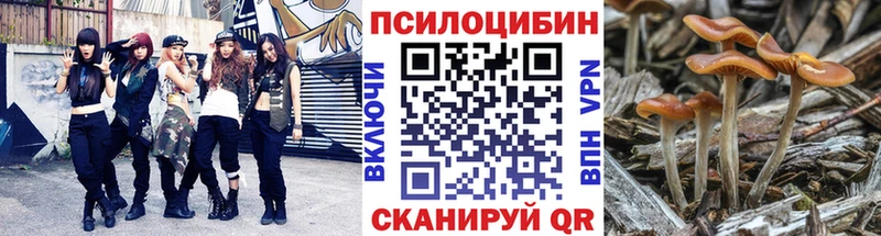 Галлюциногенные грибы Psilocybe  кракен ССЫЛКА  Тавда 