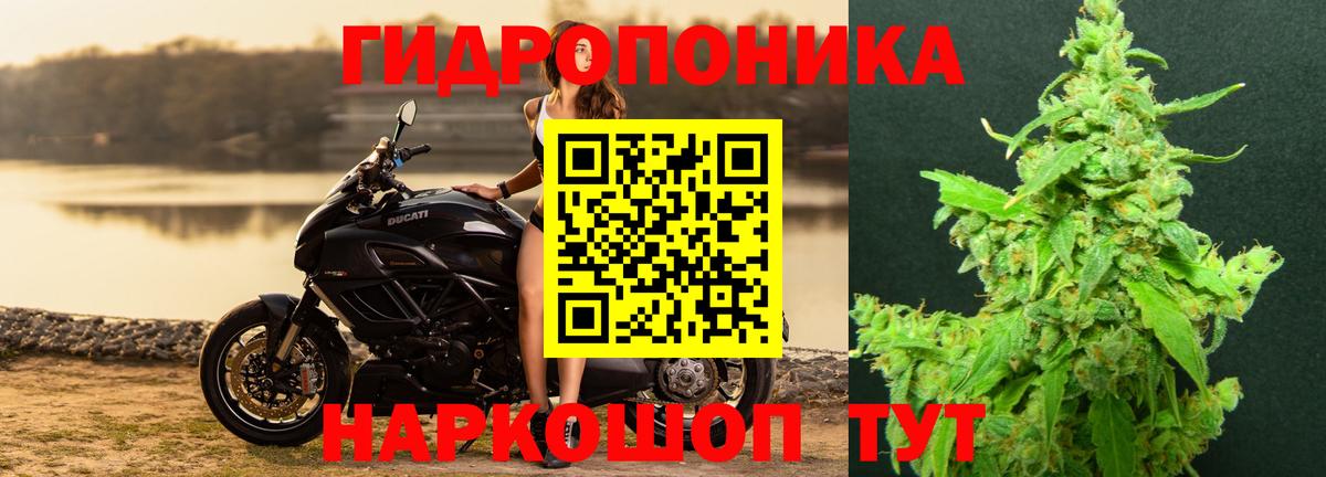 Бошки Шишки White Widow  МАРИХУАНА VHQ  Тавда  Бошки марихуана ГИДРОПОН  Вход с VPN 